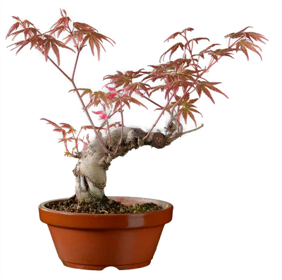 1217 в28 ш13 ц30000