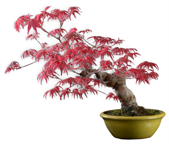 1230 в35 ш15 ц80000