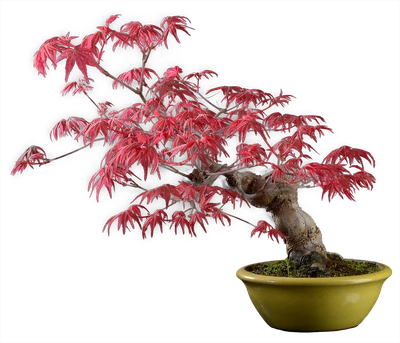 1230 в35 ш15 ц80000