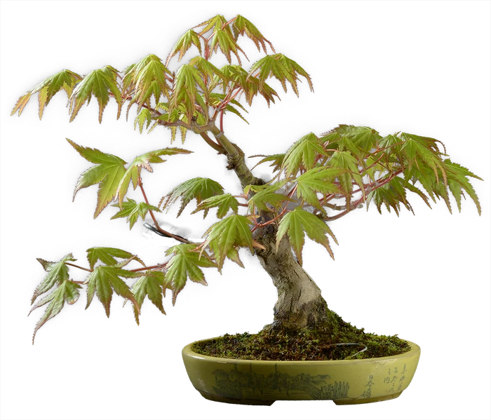 1231 в23 ш12 ц75000