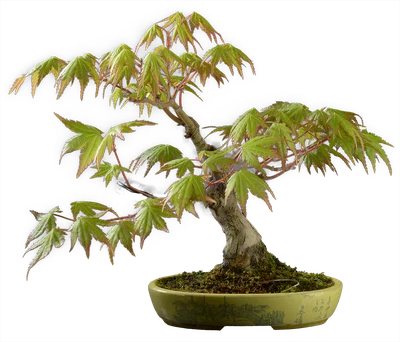 1231 в23 ш12 ц75000