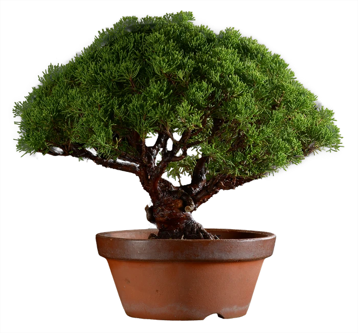 12631263 в38 ш22 ц85000