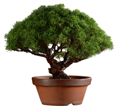 12631263 в38 ш22 ц85000