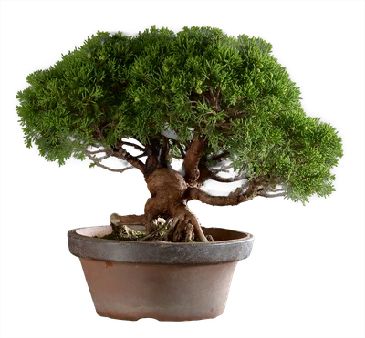 1266 в30 ш19 ц75000