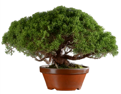 1269 в33 ш19 ц110000