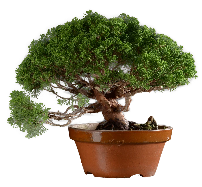 1270 в35 ш19 ц90000