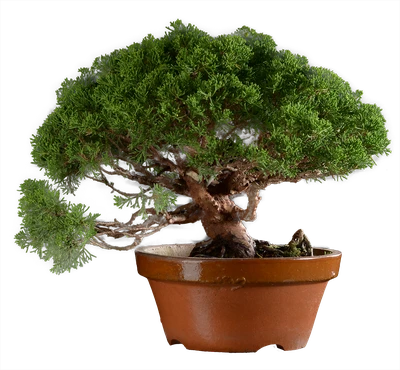 1270 в35 ш19 ц90000