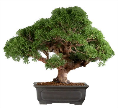 1279 в39 ш22 ц400000