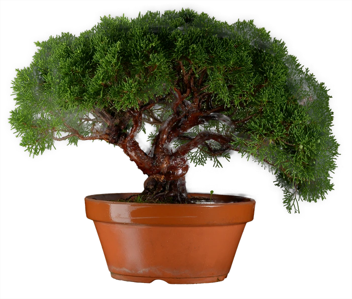 1288 в35 ш22 ц85000