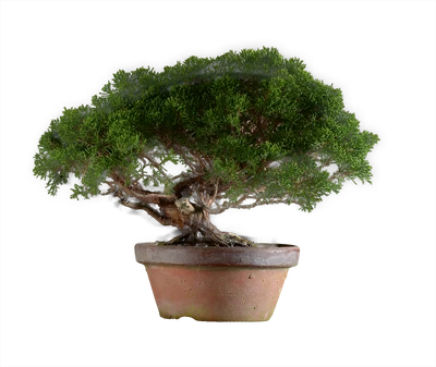 1314 в34 ш19 ц110000