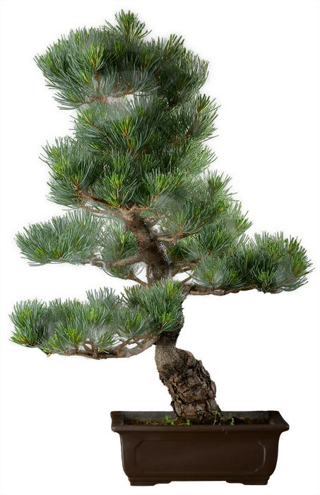 1326 ш22 в60 ц75600