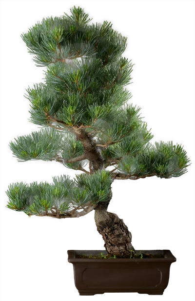 1326 ш22 в60 ц75600