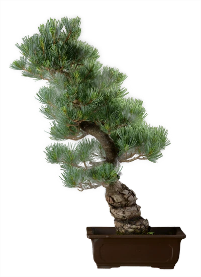 1328 ш22 в56 ц75600