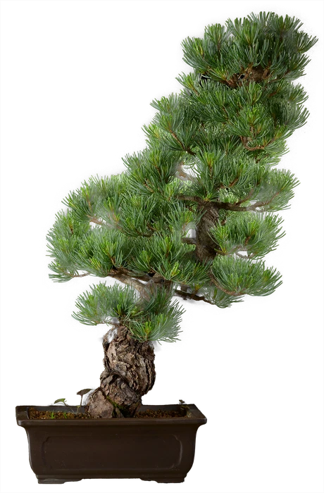 1329 ш22 в60 ц75600