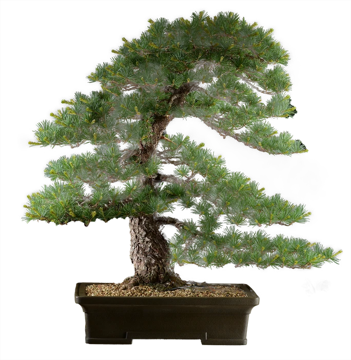 1386 ш43 в75 ц 750000