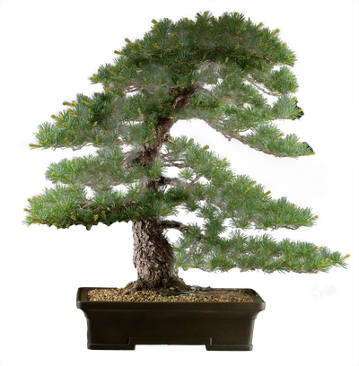 1386 ш43 в75 ц 750000