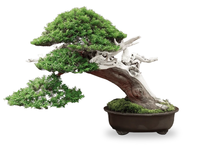 В начале 1.png