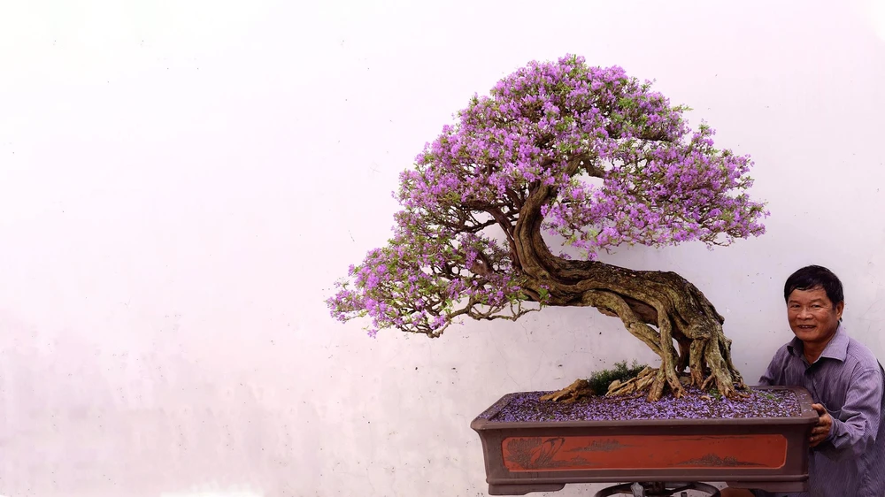 bonsai theory9.jpg