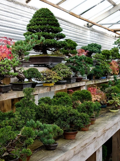 пител главная 4.jpg