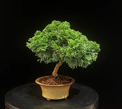 photo_2025-04-04_19-02-18