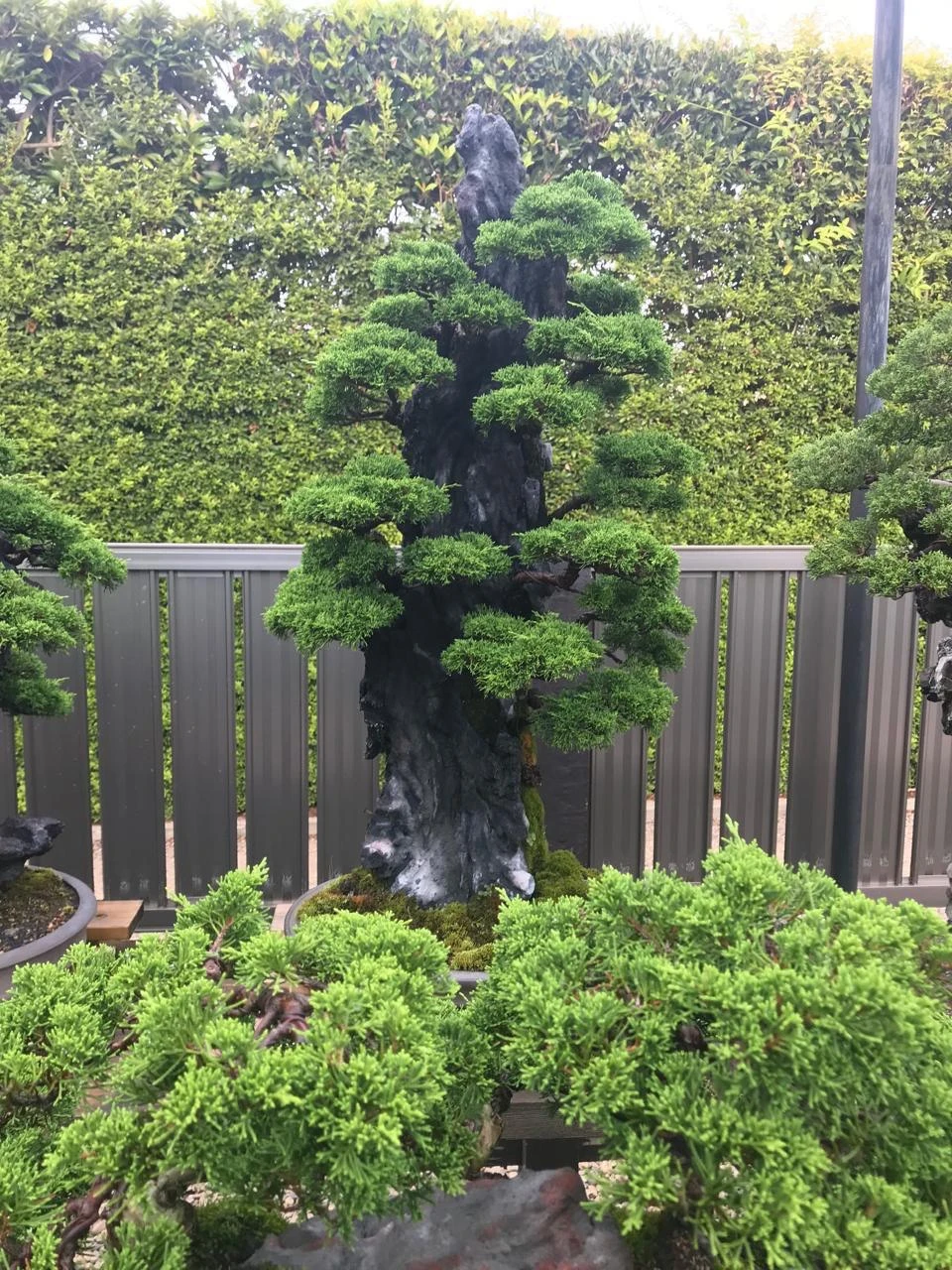 photo_2025-10-28_13-05-03 (2)