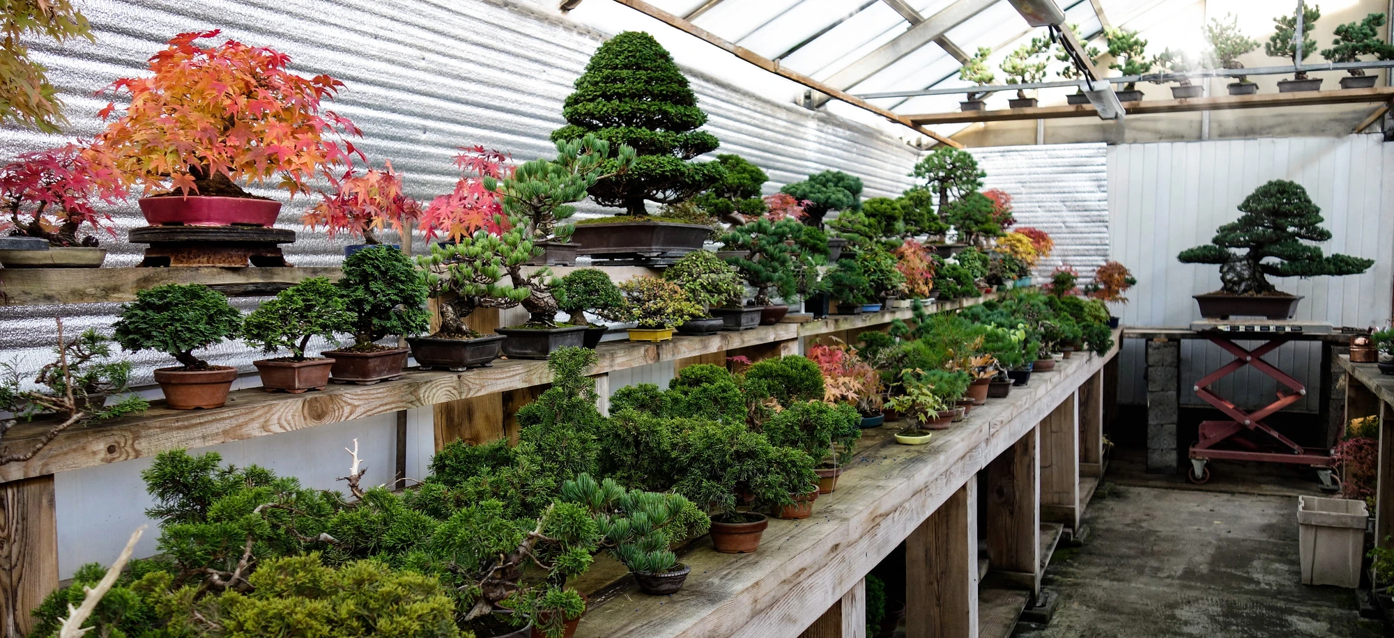 пител главная 4.jpg